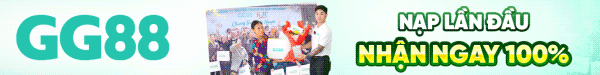Banner 5