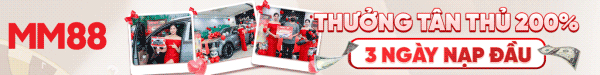 Banner 3