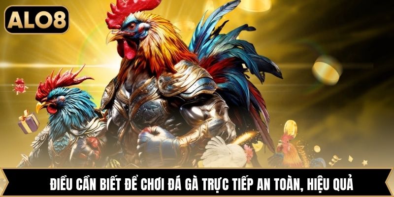 Điều cần biết để chơi đá gà trực tiếp an toàn, hiệu quả