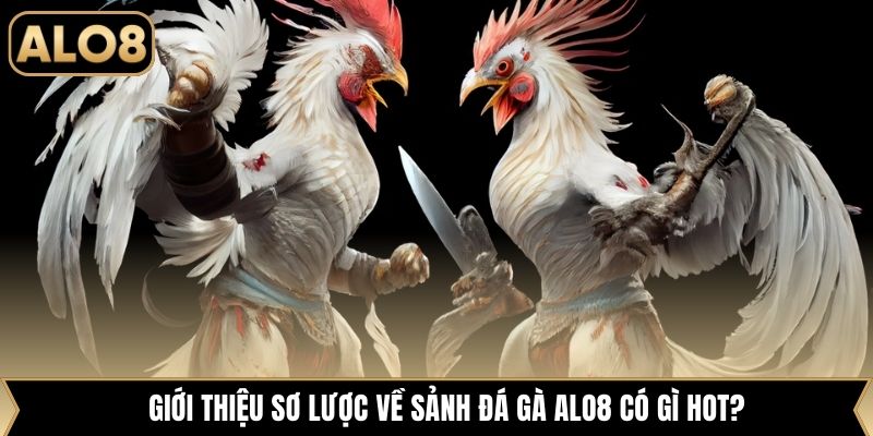 Giới thiệu sơ lược về sảnh đá gà Alo8 có gì hot?