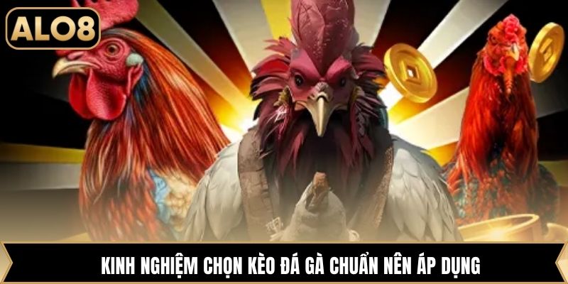Kinh nghiệm chọn kèo đá gà chuẩn nên áp dụng