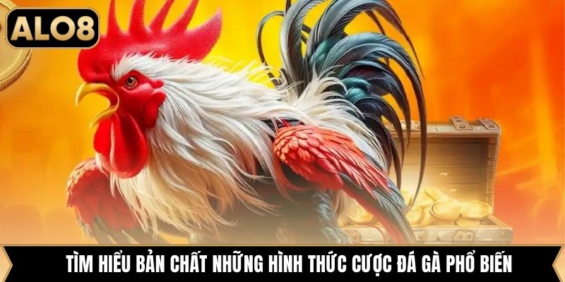 Tìm hiểu bản chất những hình thức cược đá gà phổ biến